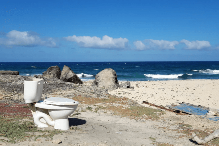 What is the Difference Between a Cassette Toilet and a Composting Toilet?