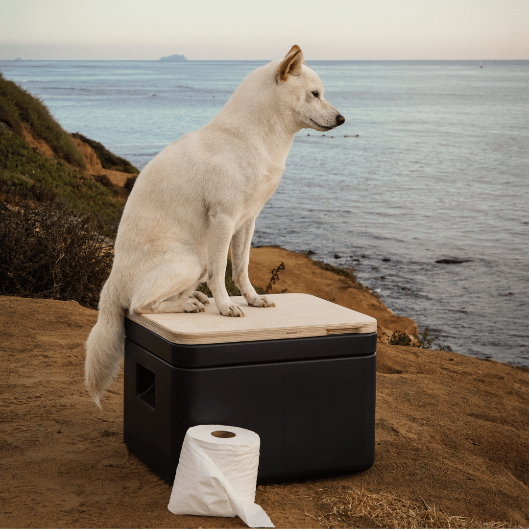 A Trelino Origin S composting toilet with a dog sitting on it, gazing out over the vast ocean from a scenic overlook.