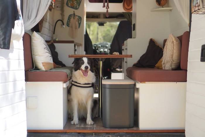 Trelino Origin L toilet in motorhome next to a dog