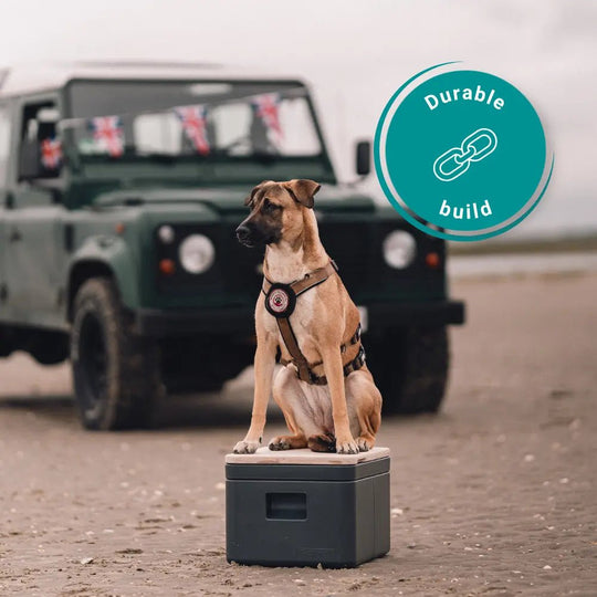 A dog sits on a compost camping toilet in a sandy outdoor setting, with a green off-road vehicle blurred in the background. A teal circular badge in the top right reads 'Durable build' with a chain-link icon.